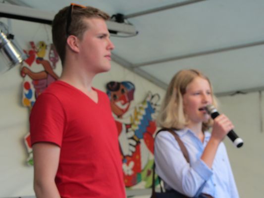 Strassen-_und_Hoffest 2014_176.jpg